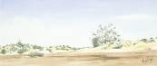 aquarelle